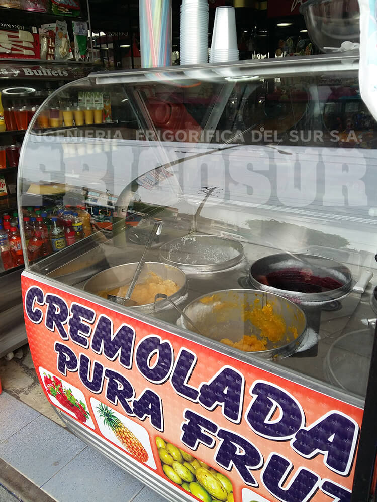 Máquina exhibidora de helados: Frigosur, la mejor opción para tu negocio